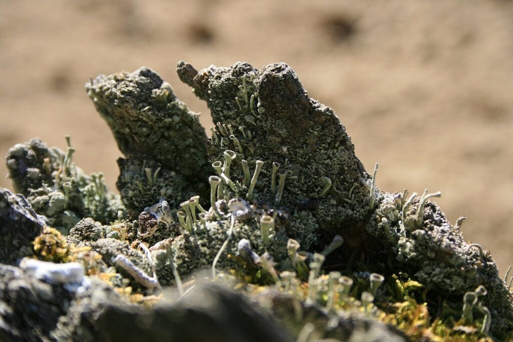 Digital Product Ideas Using Russell Bransons Offer Lab and Russell Brunsons Proven Framework Digital Product Ideas Using Russell Bransons Offer Lab and Russell Brunsons Proven Framework